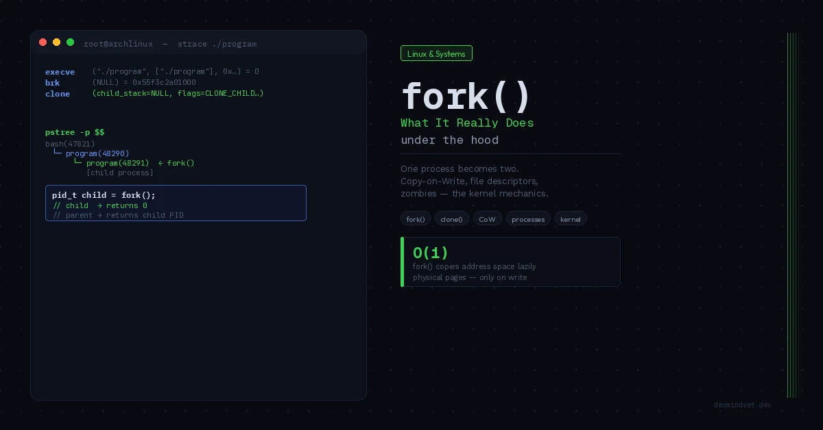 Linux fork() system call demonstration with strace output, process tree, and Copy-on-Write semantics on Arch Linux